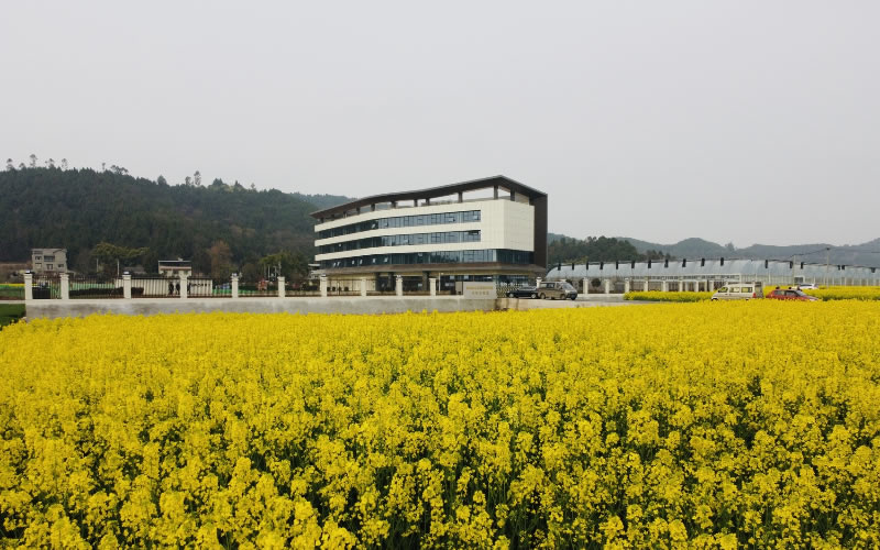 未命名-1.jpg