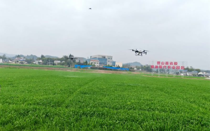 未命名-1.jpg