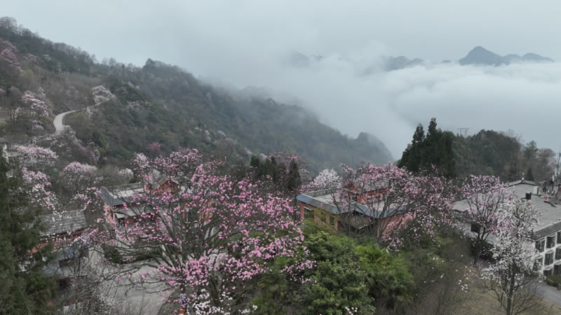 未命名-1.jpg