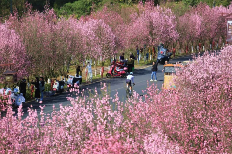 未命名-1.jpg