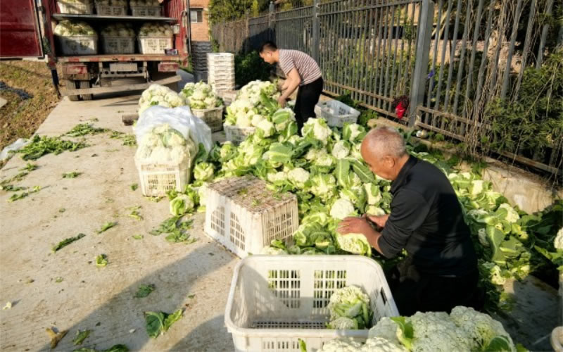 未命名-1.jpg