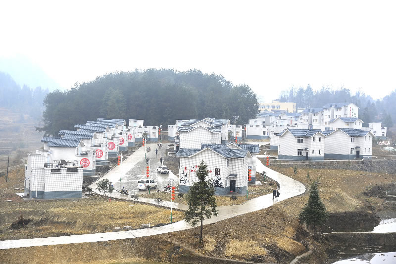 未命名-1.jpg