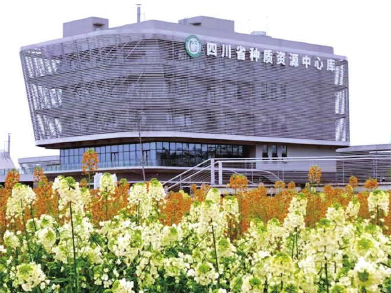 未命名-1.jpg