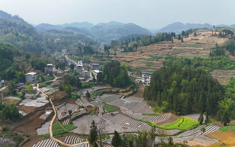 未命名-1.jpg