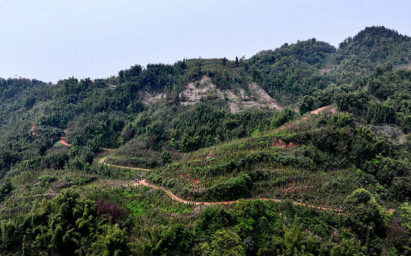 未命名-1.jpg