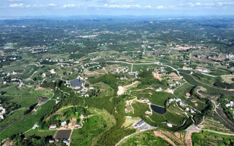 未命名-1.jpg