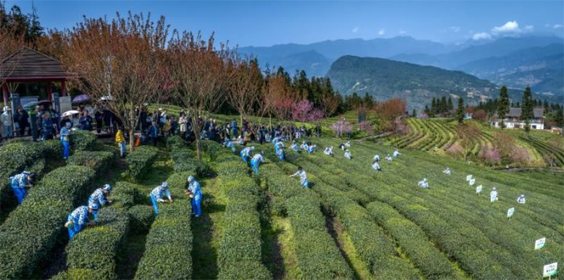 未命名-1.jpg