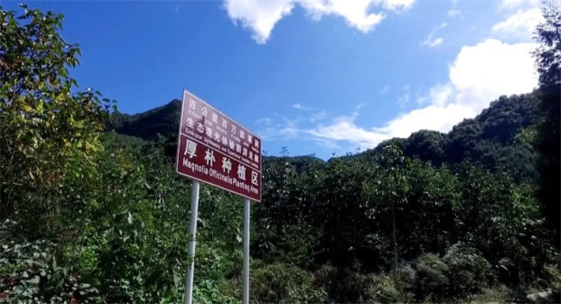 未命名-1.jpg
