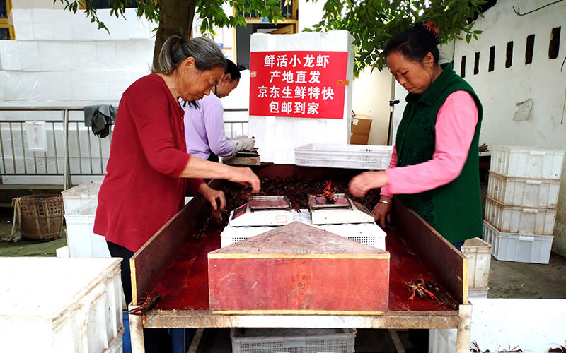 未命名-1.jpg