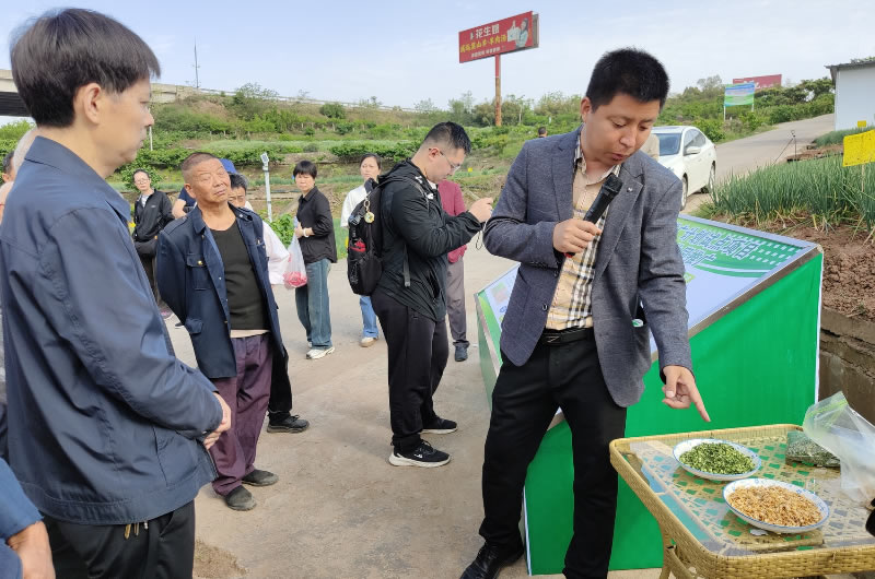 未命名-1.jpg