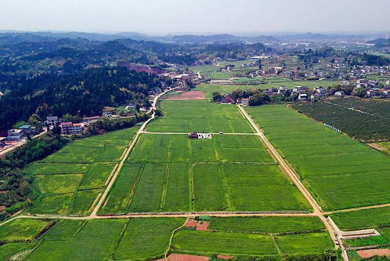 未命名-1.jpg