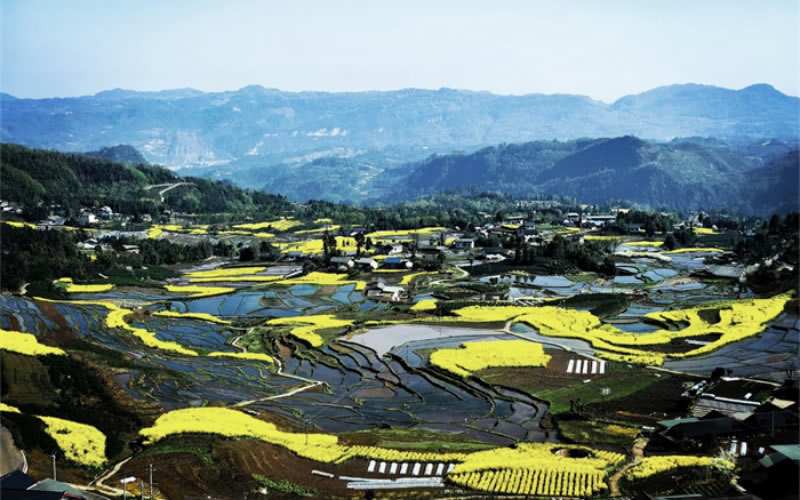 未命名-1.jpg
