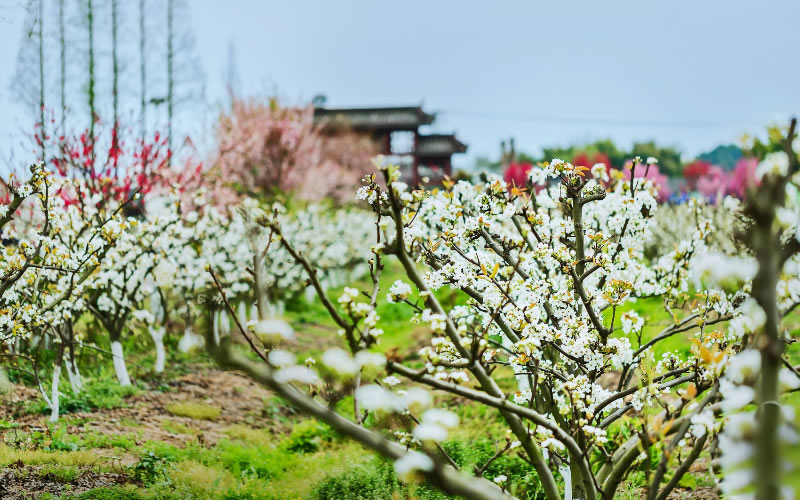 未命名-1.jpg
