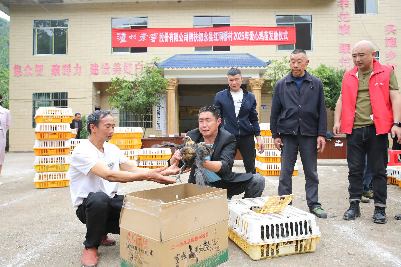 未命名-1.jpg