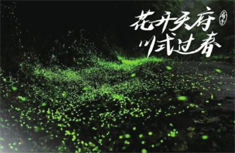 未命名-1.jpg