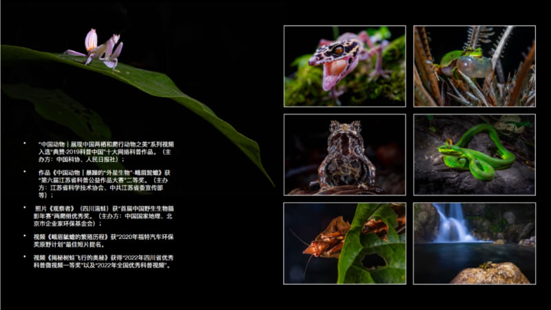 未命名-1.jpg