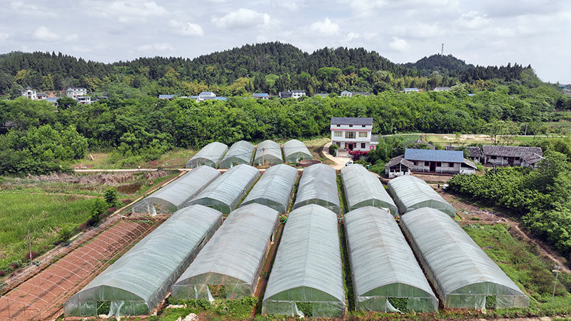 未命名-1.jpg