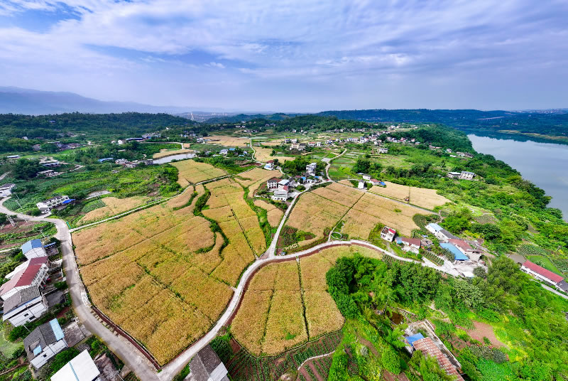 未命名-1.jpg