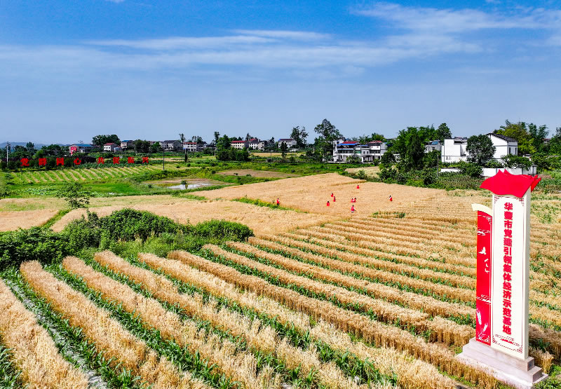 未命名-1.jpg