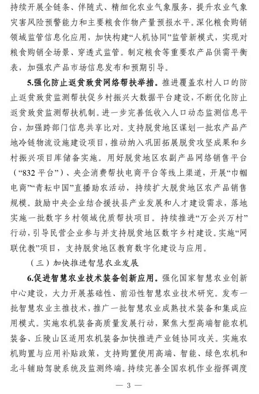 2025年数字乡村发展工作要点_03.jpg