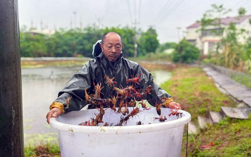 未命名-1.jpg