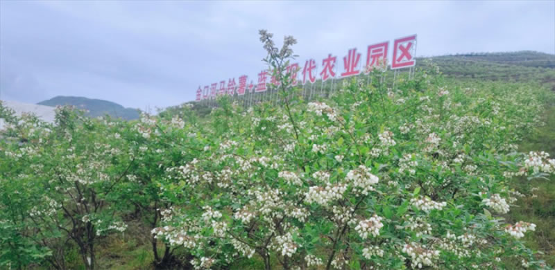 未命名-1.jpg
