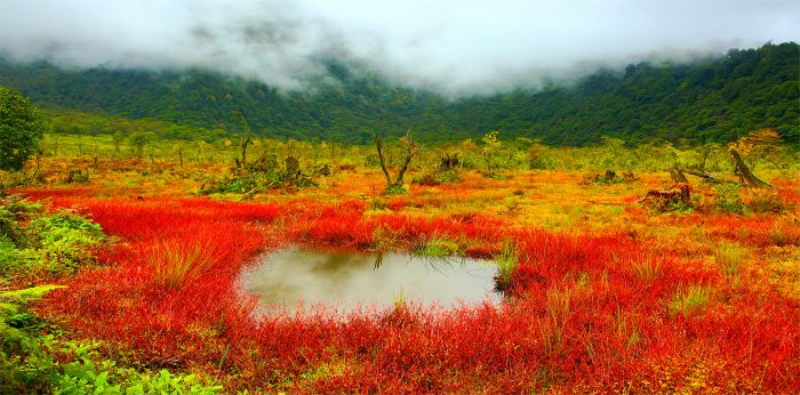 未命名-1.jpg
