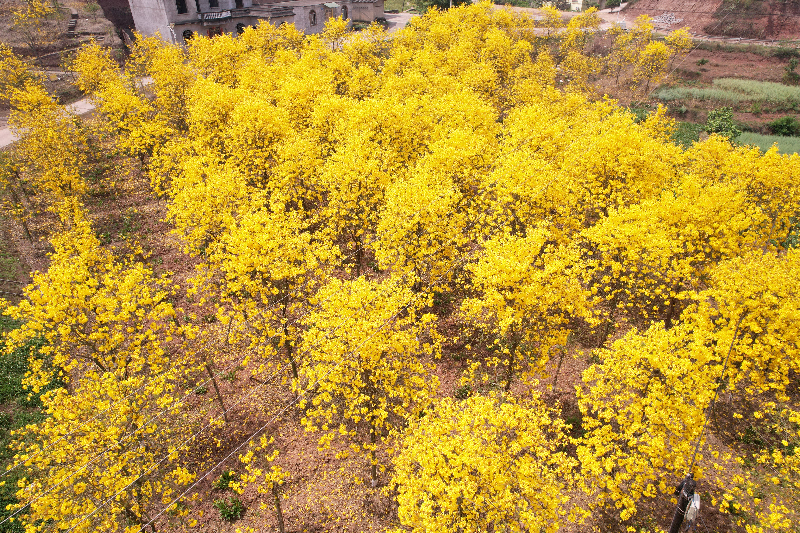 未命名-1.jpg