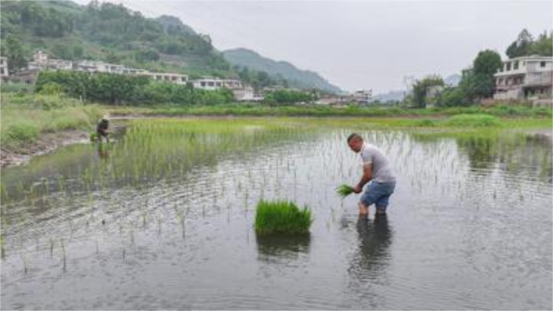 未命名-1.jpg