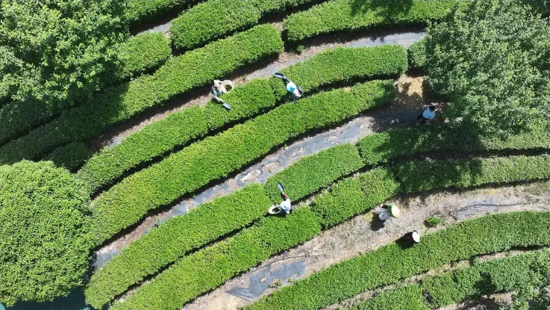 未命名-1.jpg