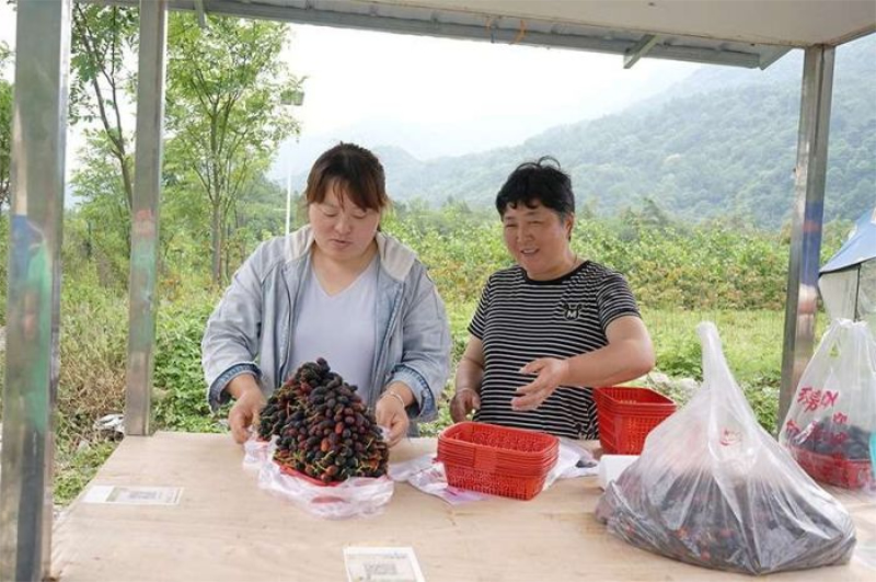 未命名-1.jpg