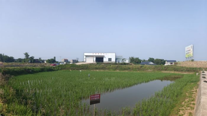 未命名-1.jpg