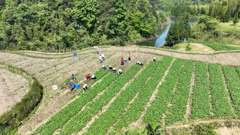 未命名-1.jpg