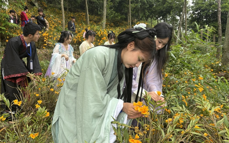 未命名-1.jpg