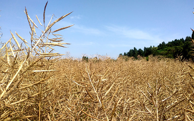 未命名-1.jpg