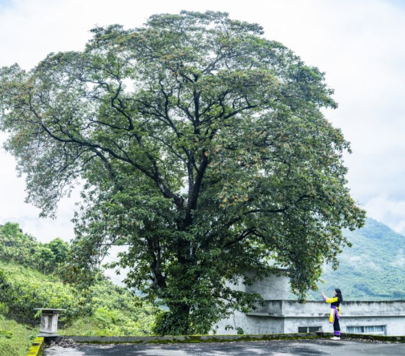 未命名-1.jpg