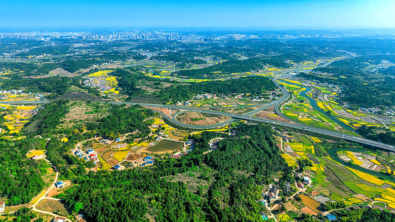 未命名-1.jpg