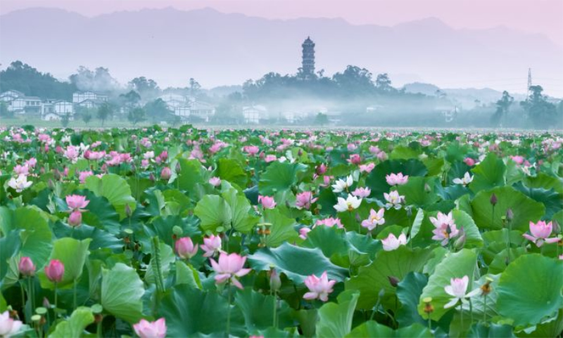 未命名-1.jpg
