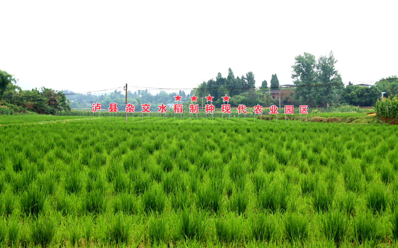 未命名-1.jpg