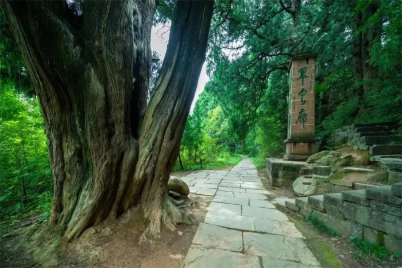未命名-1.jpg