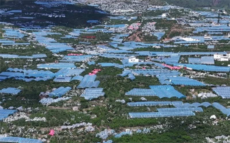 未命名-1.jpg