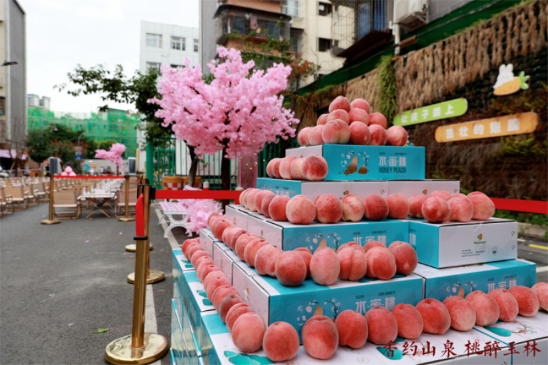 未命名-1.jpg