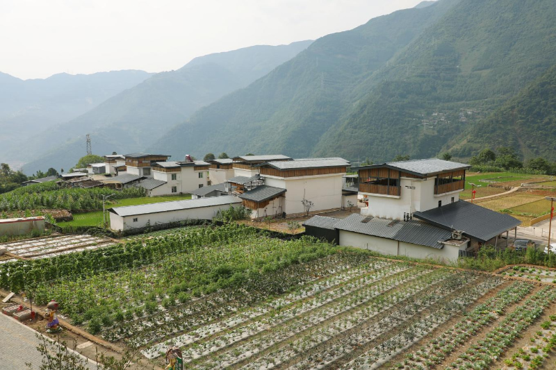 未命名-1.jpg