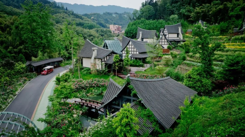 未命名-1.jpg