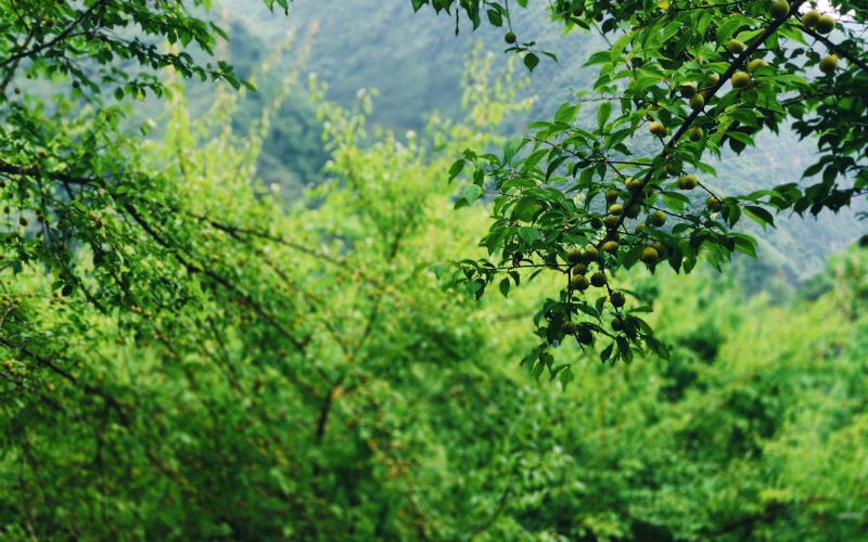 未命名-1.jpg