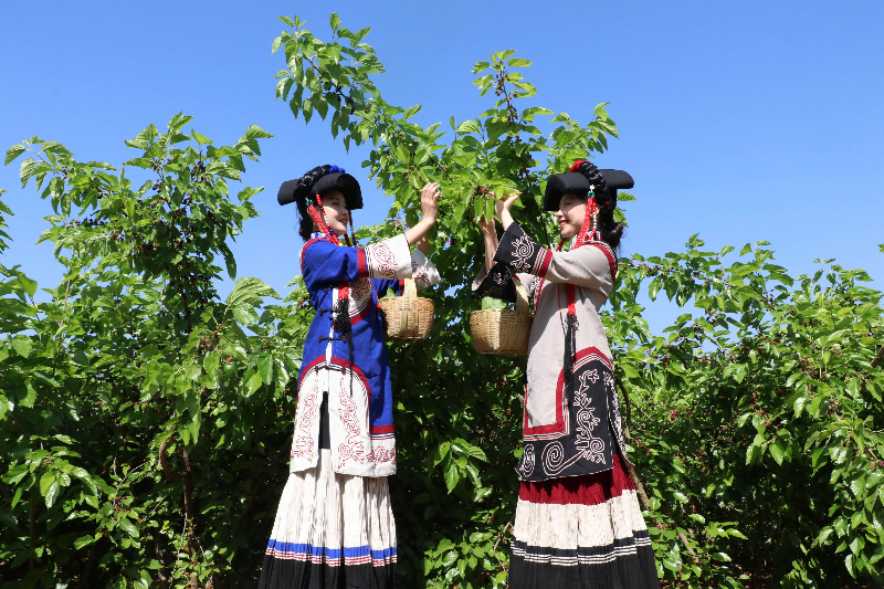 未命名-1.jpg