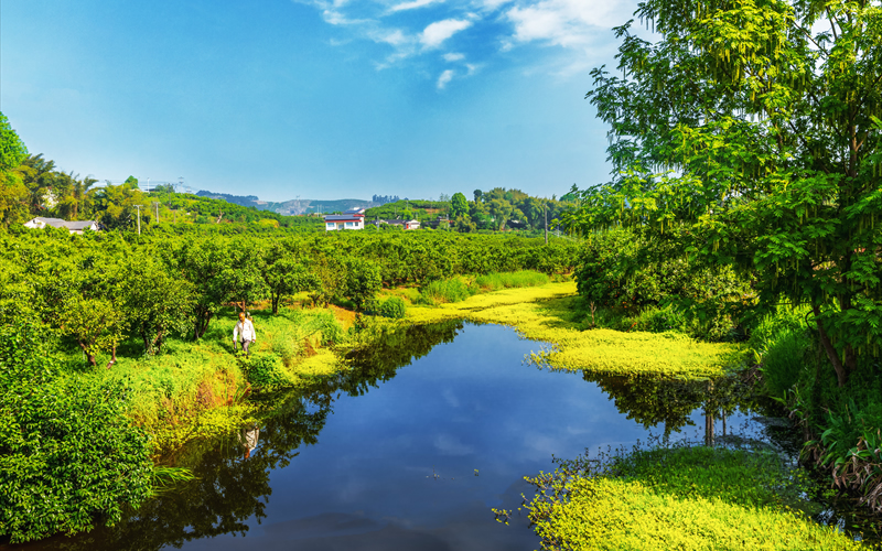 未命名-1.jpg