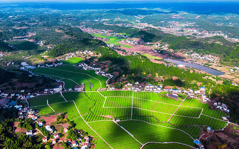未命名-1.jpg