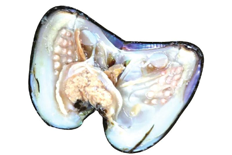 4bdc63d593db9b32829e8e4cf0a0d940_d0323d4fd63bb8aa760570f59dcd53eb.jpg