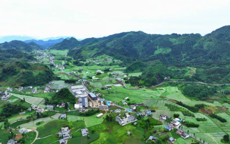 未命名-1.jpg